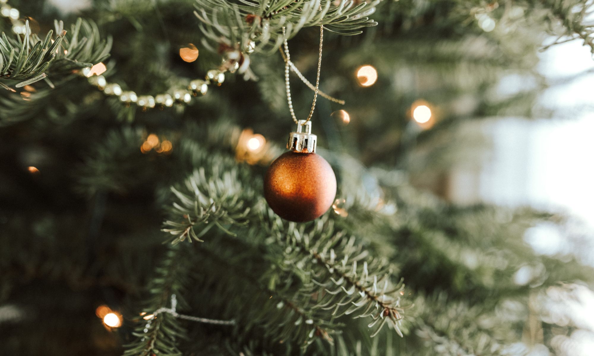 A red Christmas ornament hanging from a festive tree